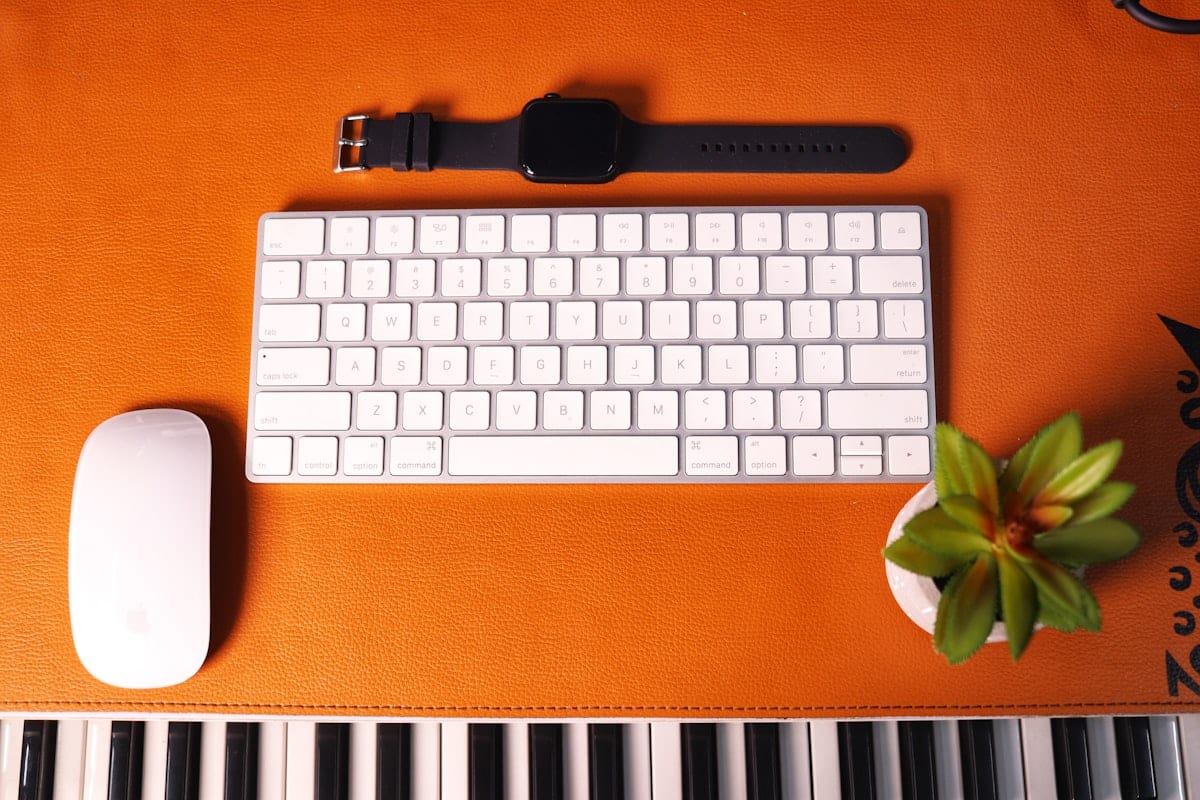 Computer keyboard and mouse